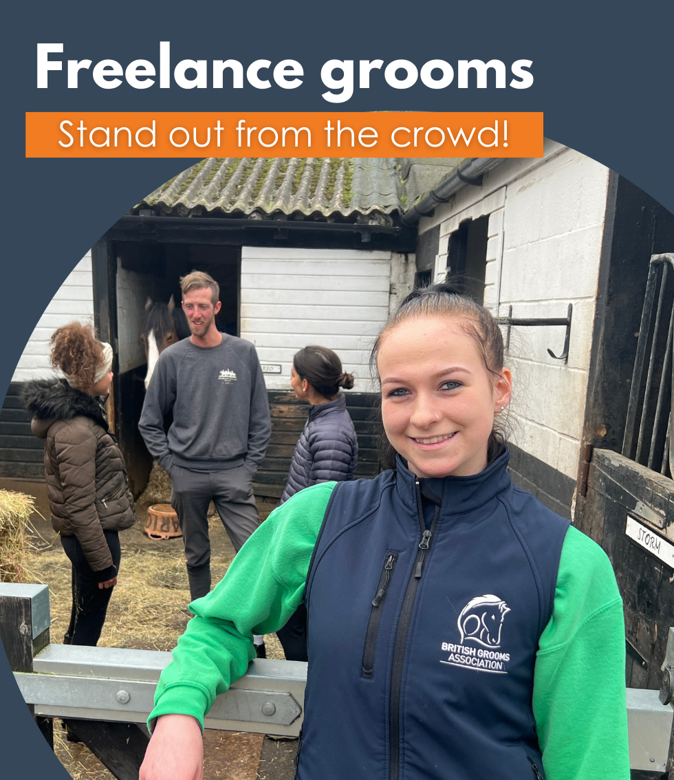 Freelance Groom Insurance and online tools British Grooms Association